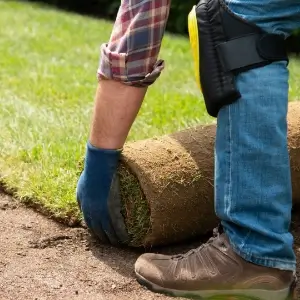 Natural turfing