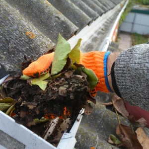 Gutter and fascia cleaning